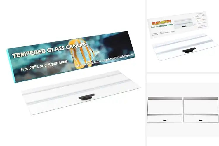 Detailed view of Best Aquarium Canopies: Top Picks to Keep Fish Safe