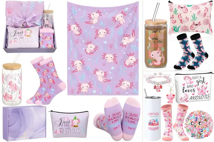 Detailed view of Best Axolotl Gift Sets