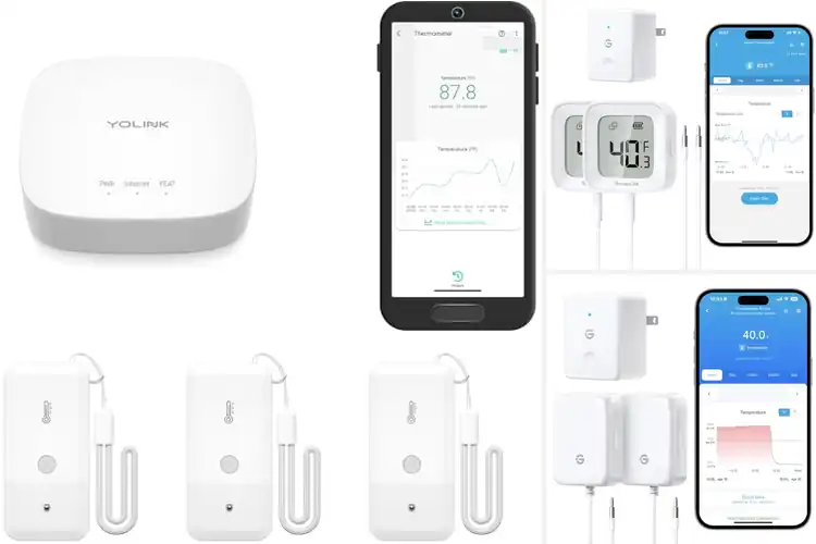 Detailed view of Best Fridge Temperature Sensors: Keep Food Fresh & Safe