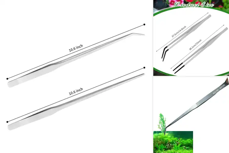 Detailed view of Best Long Tweezer Terrarium Feeders