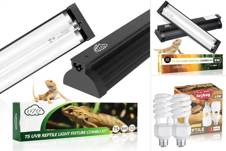 Detailed view of Best UVB Lights: Top 10 Picks for Healthy Reptiles